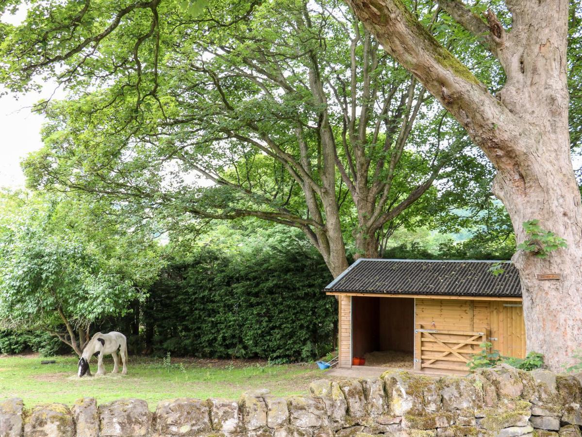 Bluebell Cottage Alfreton Exterior photo